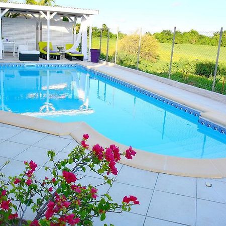 Villa Amethyste Avec Grande Piscine Privee, Jardin Clos, Parking Prive Le Robert Bagian luar foto